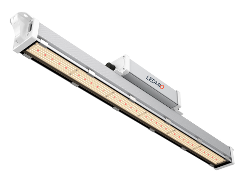 GTL Series light