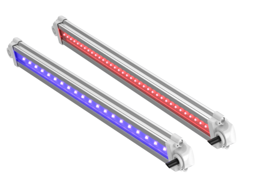 UV and FR light